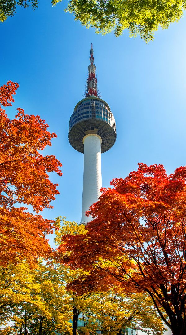 llevar-efectivo-excursiones-corea